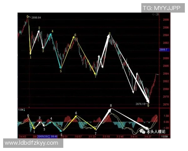 深圳排球队包夹战术解析与实战应用探讨
