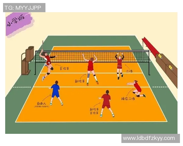 重庆排球队的转换体系与排球战术创新探索之路