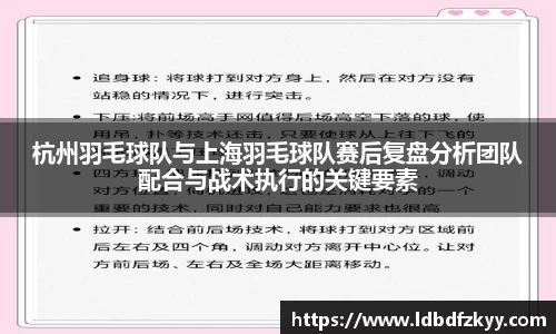 杭州羽毛球队与上海羽毛球队赛后复盘分析团队配合与战术执行的关键要素