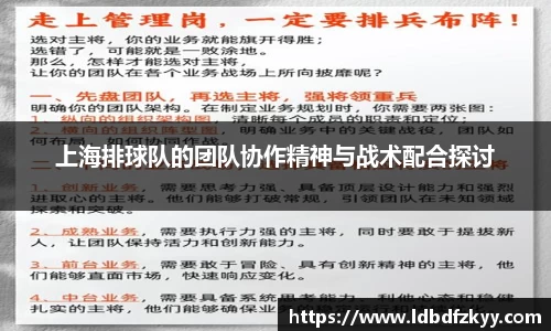 上海排球队的团队协作精神与战术配合探讨