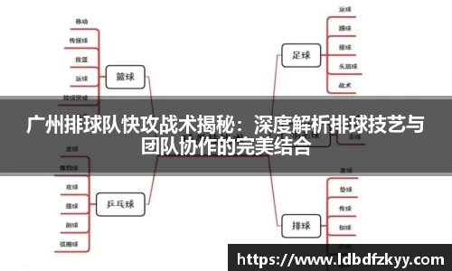 广州排球队快攻战术揭秘：深度解析排球技艺与团队协作的完美结合