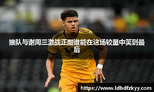 狼队与谢周三激战正酣谁能在这场较量中笑到最后
