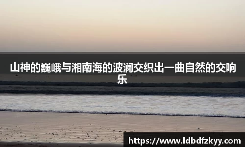 PA视讯