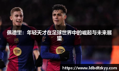 PA视讯官网