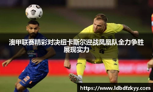 澳甲联赛精彩对决纽卡斯尔迎战凤凰队全力争胜展现实力