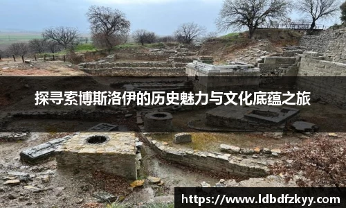 PA视讯官网